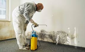 Best Environmental Consulting for Mold Prevention  in Sayreville, NJ